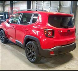 جيب رينيجيد